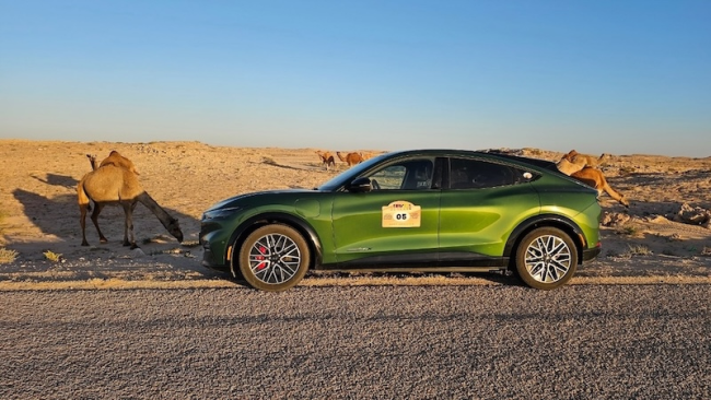 Extremtour: 12.500 Kilometer mit dem Ford Mustang Mach-E