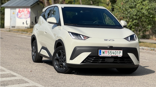 Test: BYD Dolphin Surf - Mehr E braucht man nicht