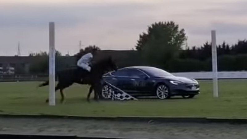 Tesla Model S im Duell ... mit einem Pferd?!