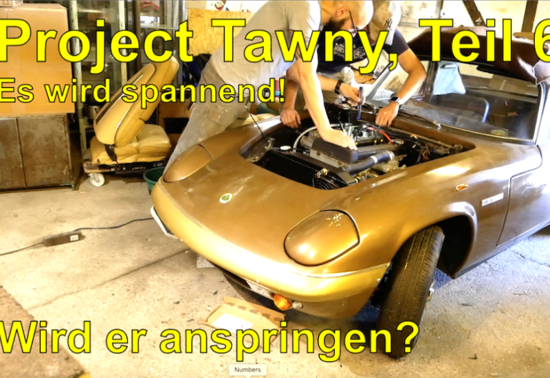  Video: Project Tawny, Teil 6