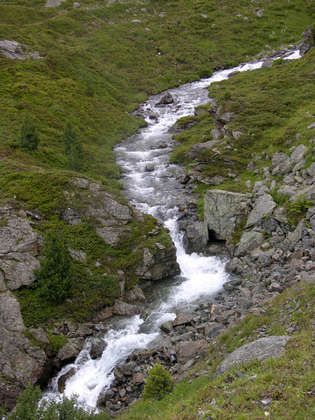  Ökologischere Neuzulassungen