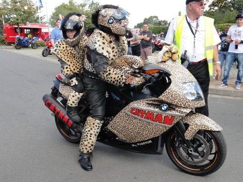  Die letzte Meldung: Catman mit seiner Pussycat