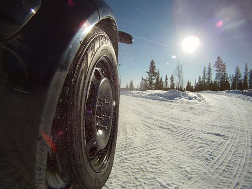  Bitte keinen Trayal Arctica!