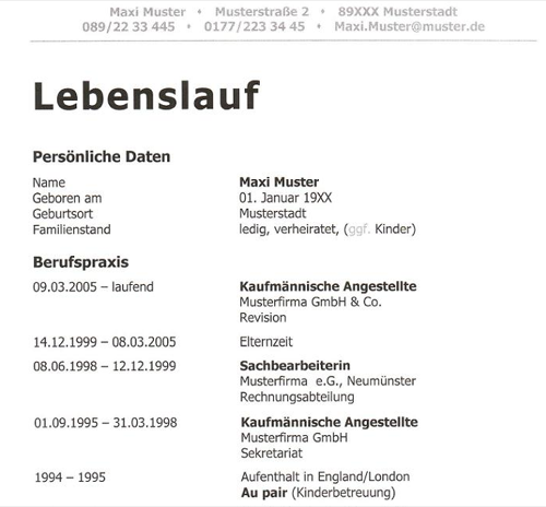  Das Internet als Bewerbungsprobe  