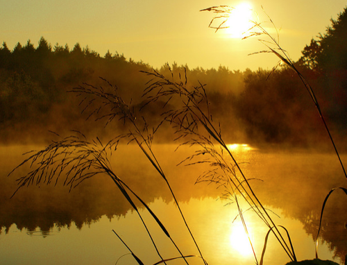  Goldener September