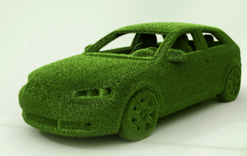  Diskussionen in der Blumenhalle