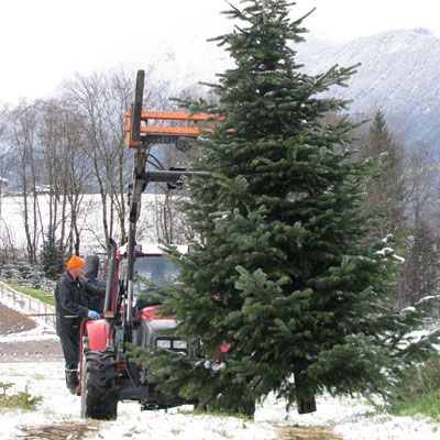  Weihnachten kommt mit dem Auto