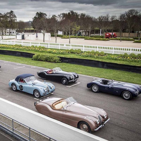  Superstars im Jaguar bei Mille Miglia