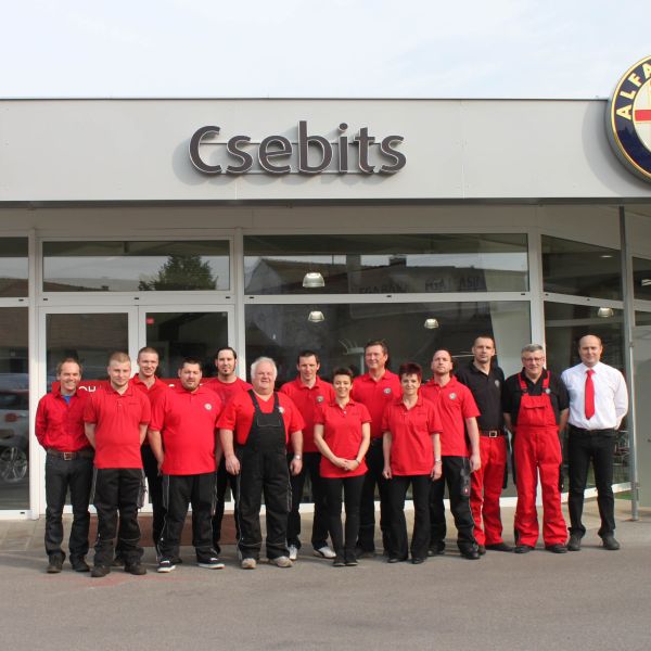  „Goldenes“ bei Csebits