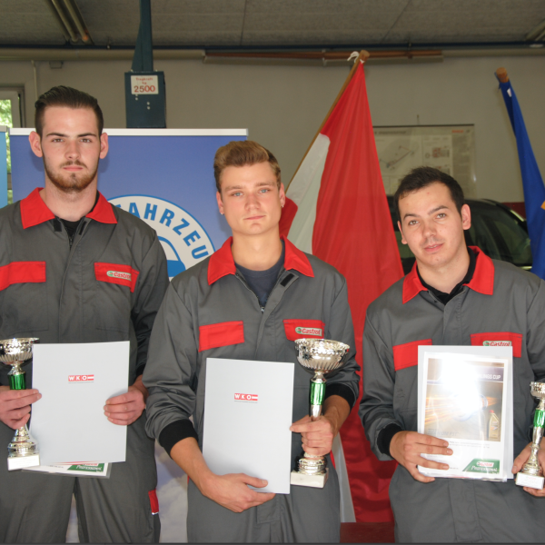  Die Besten im Burgenland