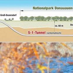  WK Wien: Lobautunnel ist überfällig
