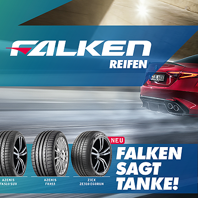  Falken sagt „Tanke“