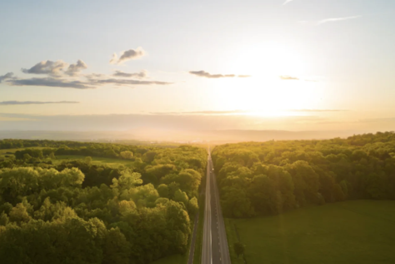  Erfolge auf dem „grünen“ Weg