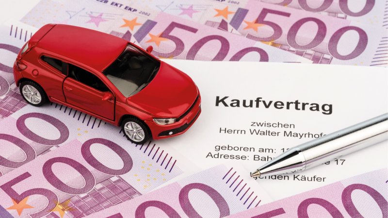 EINE SACHE FÜR PROFIS