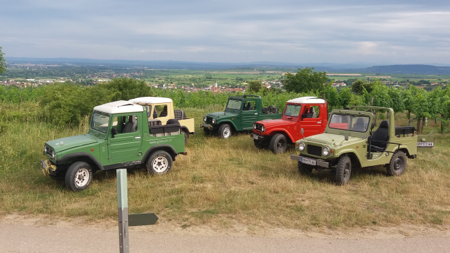 Winzer, Sammler, Restaurator