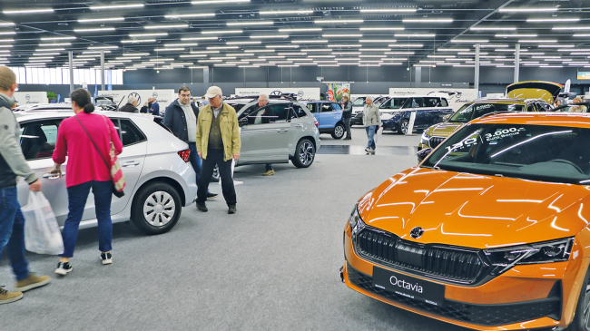  Leichtes Plus in der Mozartstadt