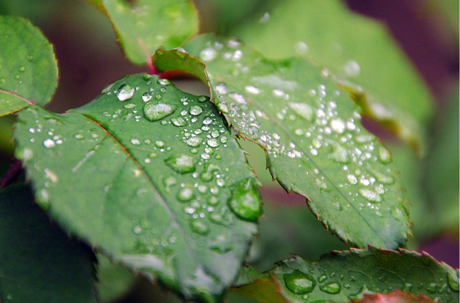 CO2-Ausstoß verringert