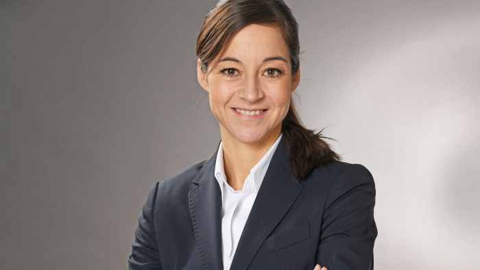 Ein gemischtes Bild in Europa