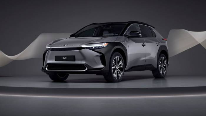 30 E-Autos bis 2030 sind geplant