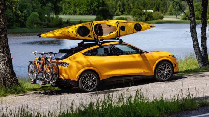 48.690 Euro als neuer Startpreis für das E-Pony