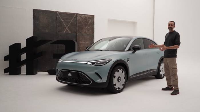 Im Zeichen des Geparden