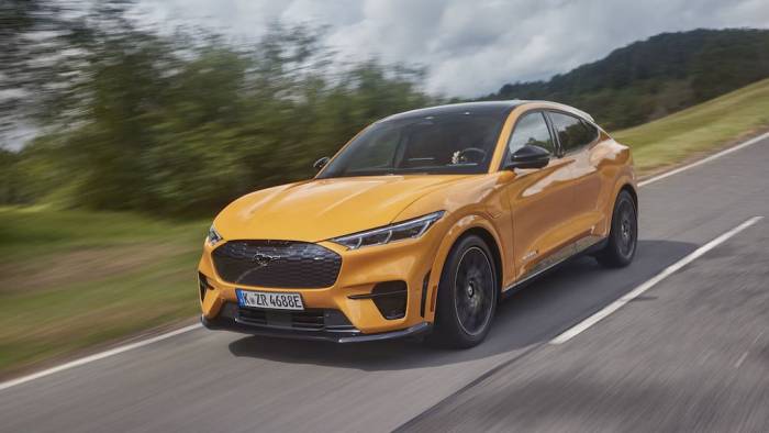 Der wildeste Hengst kostet über 70.000 Euro