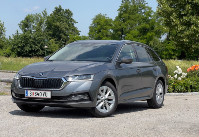  FLOTTEN Check: Skoda Octavia Combi