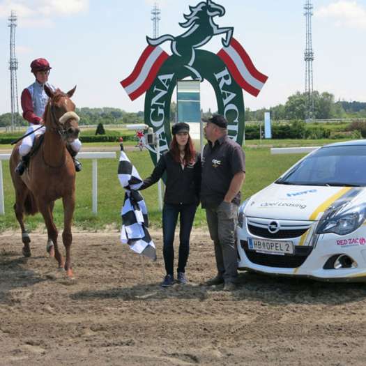  213 Pferde schlagen einen Gaul