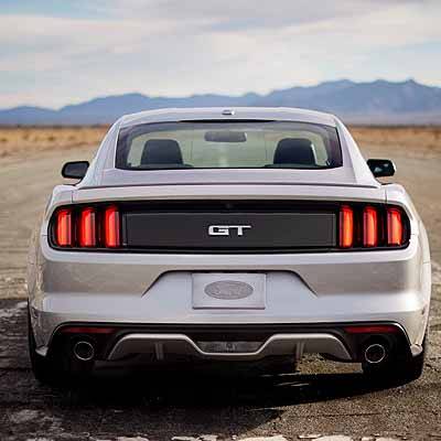  Wildpferde galoppieren nach Österreich