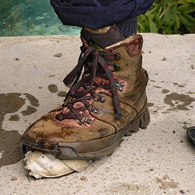  Der unglaubliche Marchionne