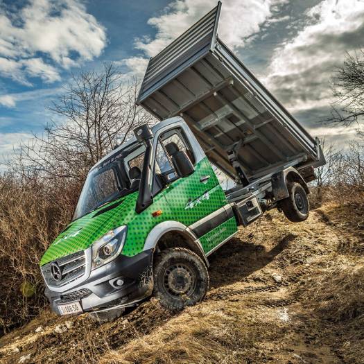  Sprinter 4x4: Österreichischer Sternbock