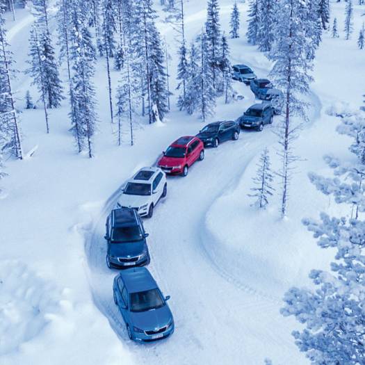  Tschechische Schneekristalle