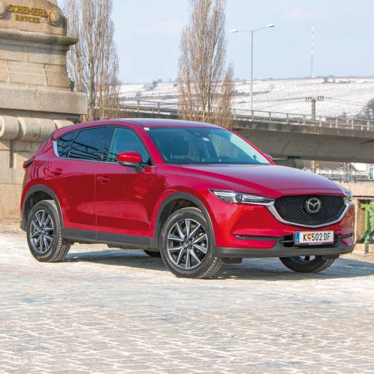  Oder doch lieber der Diesel?