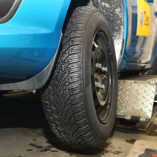  Weiter warten auf die Wollmilchsau