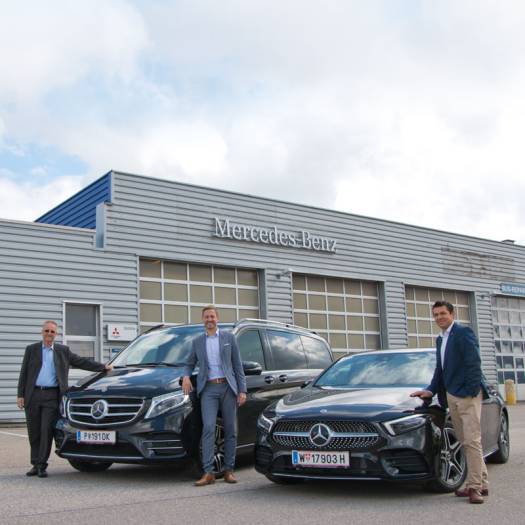  Sieben ziehen an einem Strang