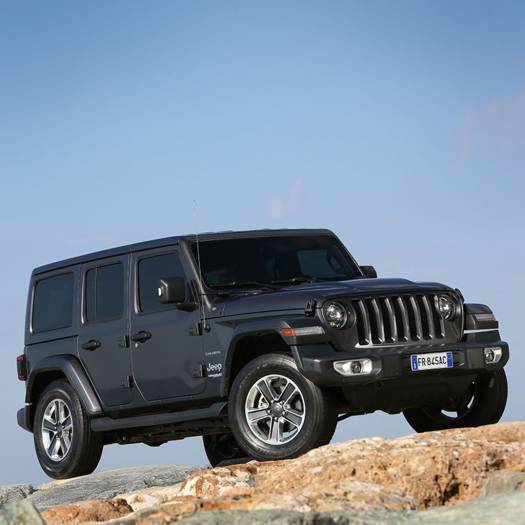  Kommoder Pferdetreiber