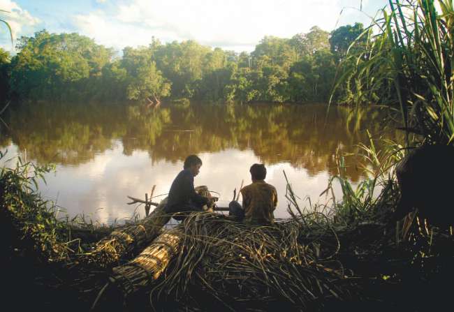  Klimaschutz, Artenvielfalt & Co.