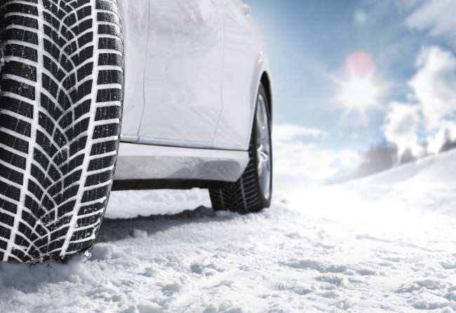  Rechtzeitig umstecken lohnt sich