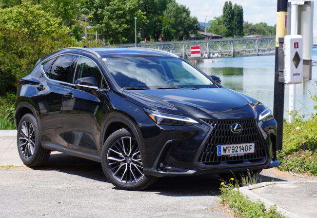  Japanische Renaissance