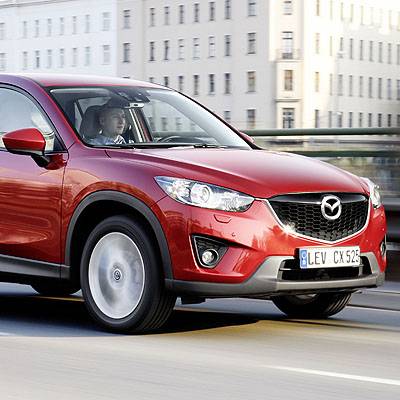  Alle über einen Kamm geschoren