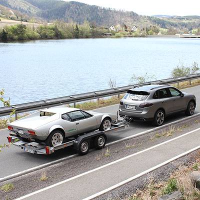  Zugtiere mit Stil und Charme