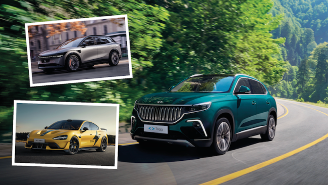 Neue Marken II: So stehen die Chancen