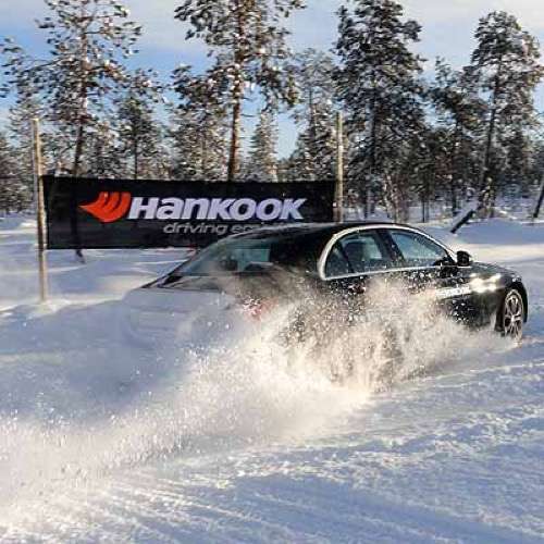  Auf den Spuren des Polarfuchses