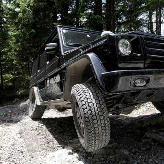  Der wilde Ritt hinauf und runter