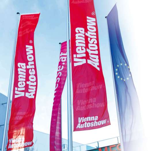  Nur zwei sind nicht dabei