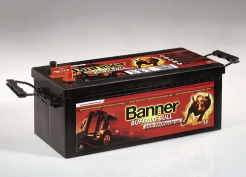  Der stärkste Büffel