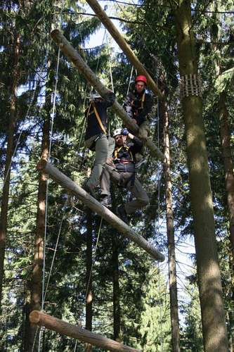  Weltweit grünes Engagement 