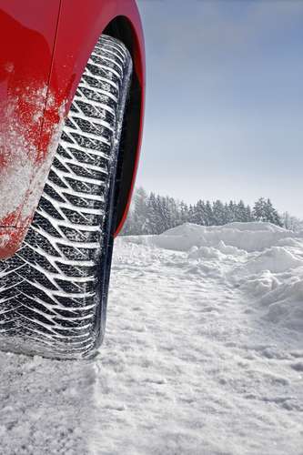  Gut bereift in den Winter