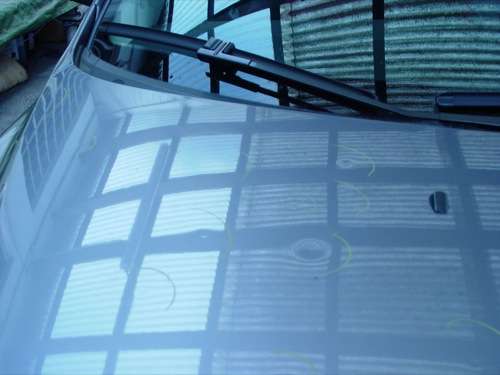  „Dellenteam“ immer bekannter