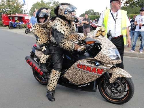  Die letzte Meldung: Catman mit seiner Pussycat